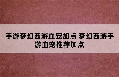 手游梦幻西游血宠加点 梦幻西游手游血宠推荐加点